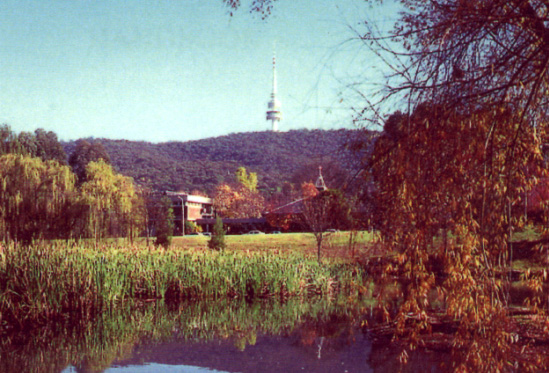 Picture of
the College Building